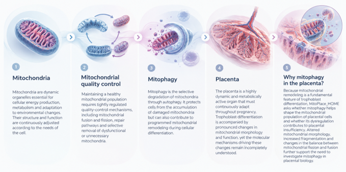 SCIENTIFIC BACKGROUND